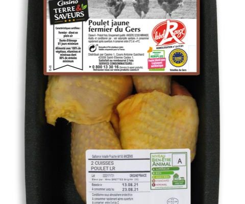 Barquette-Cuisses-jaunes-casino