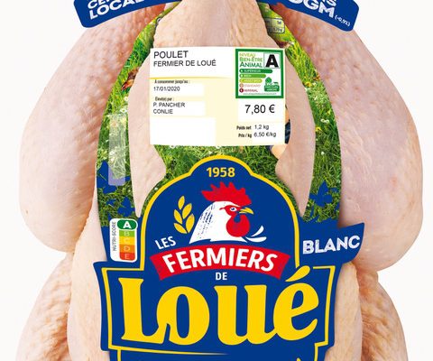 Barquette-loue-entier