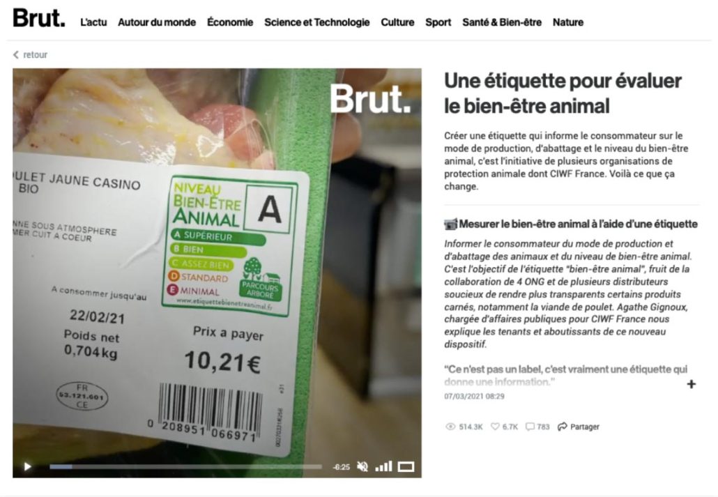 article-Brut