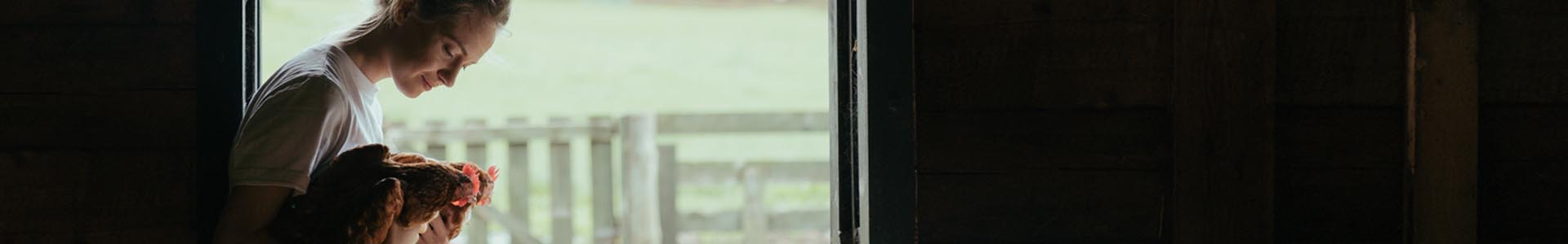 EBEA-Bandeau-demarche