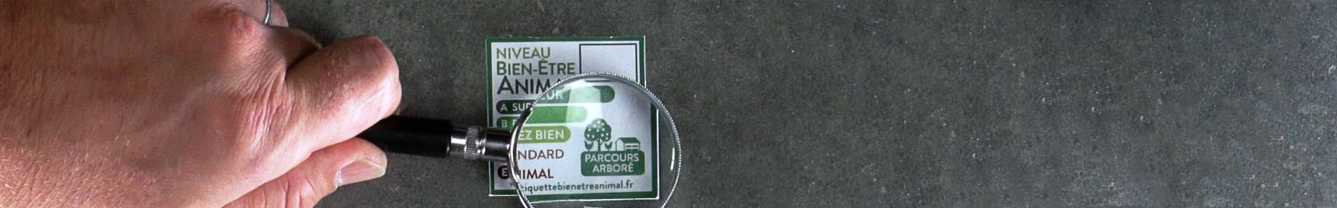 EBEA-Bandeau-etiquette