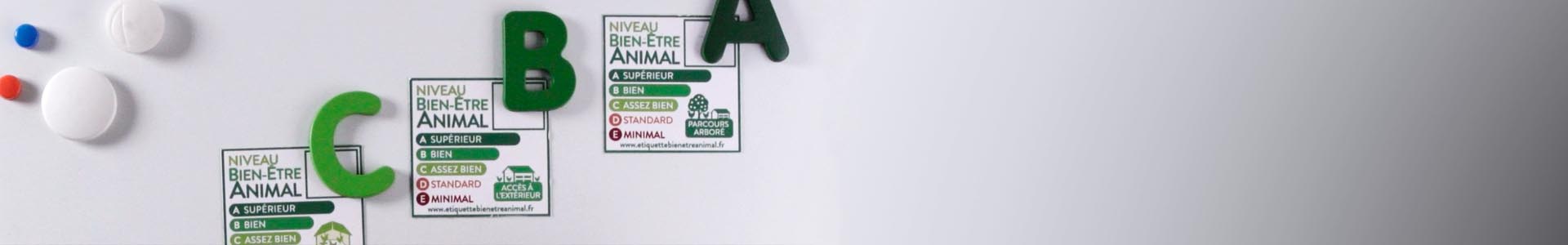 EBEA-Bandeau-etiquette-2