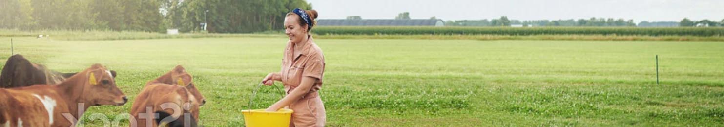 EBEA-Bandeau-professionnel-port