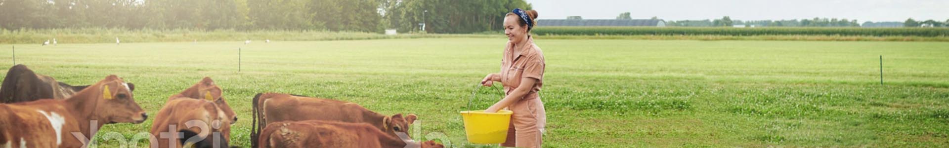 EBEA-Bandeau-professionnel