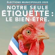 municipoules